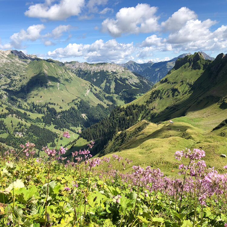 Wandern in den Allgäueralpen